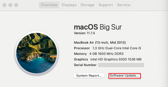 Apple Menu > About This Mac