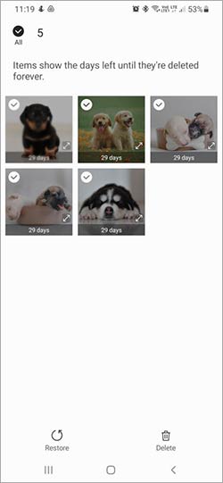 click restore to save the deleted GIF images