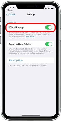 Stellar Eraser for iPhone- Turn On iCloud Backup