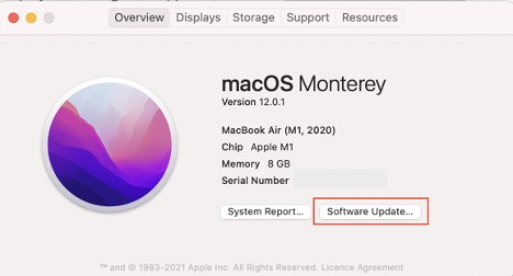 About this Mac on macOS Monterey > Overview tab