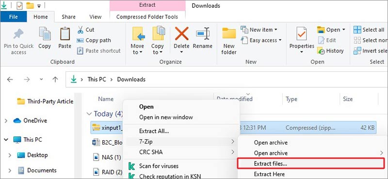 extract-files-from-zip-folder-of-dll-folder