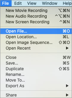 open file in QuickTime