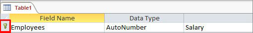 Field Indicates Primary Key