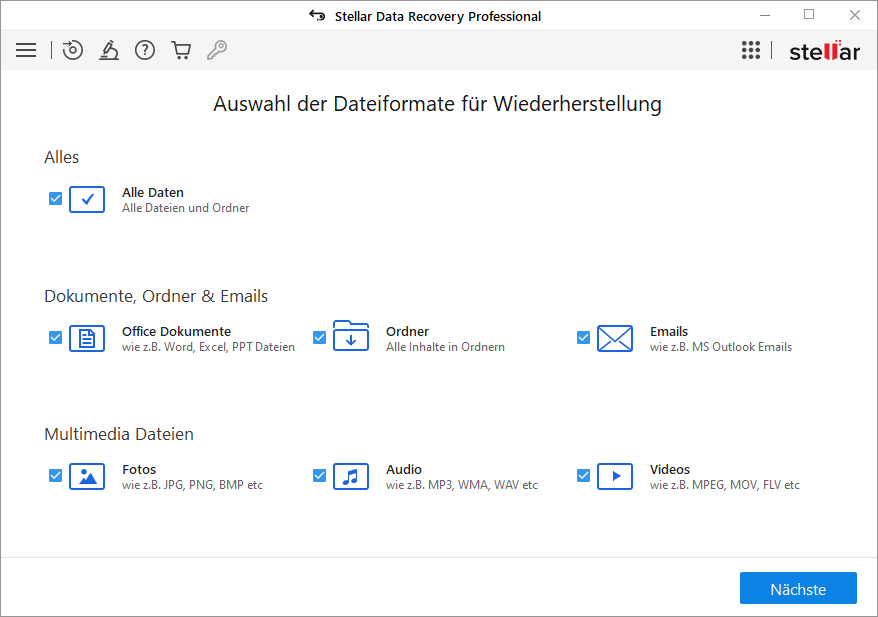 Wählen Sie die Art der Daten, die Sie wiederherstellen möchten