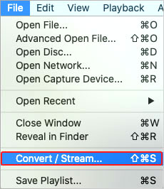 Click Convert/Stream option