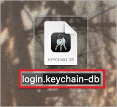 Desktop → Login.Keychain