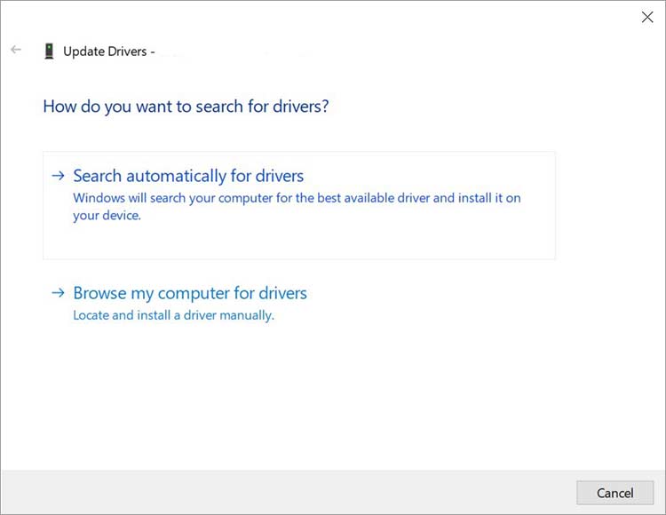 choose how you want to update driver
