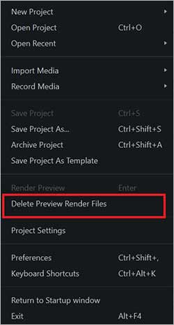 Delete Preview Render Files