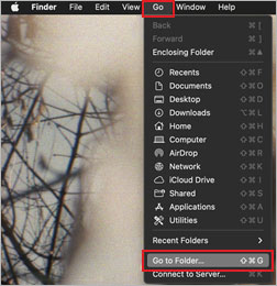 Finder → Go → Go to Folder