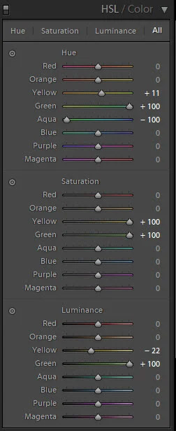 HSL panel in Lightroom