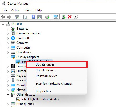 choose to update driver option