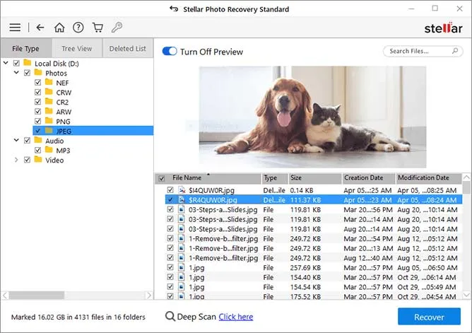 Preview the recovered images in Stellar Photo Recovery 