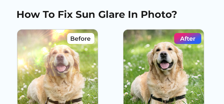 Sun Glare In Photo