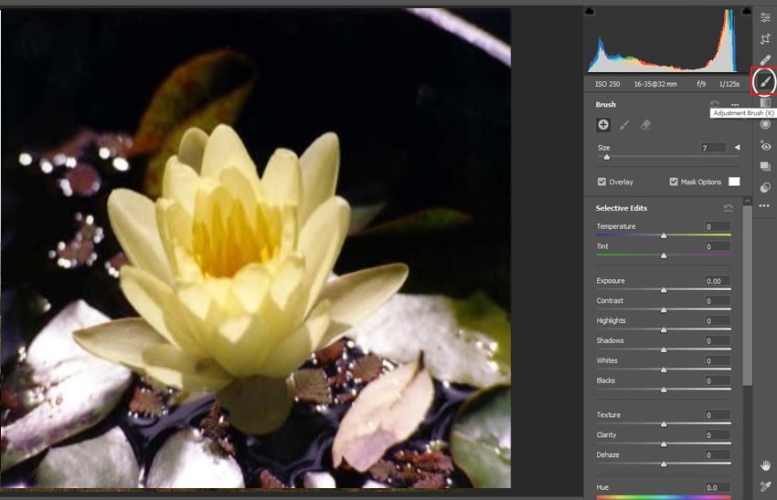 adjustment brush photoshop