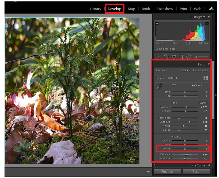 develop module lightroom reduce sun glare