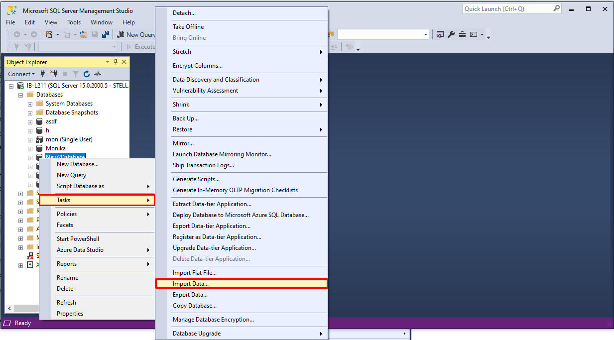 import MS SQL data manually using SSMS