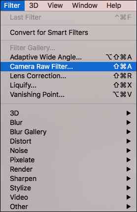 photoshop filter camera raw filter