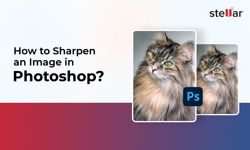 How to Sharpen an Image in Photoshop?