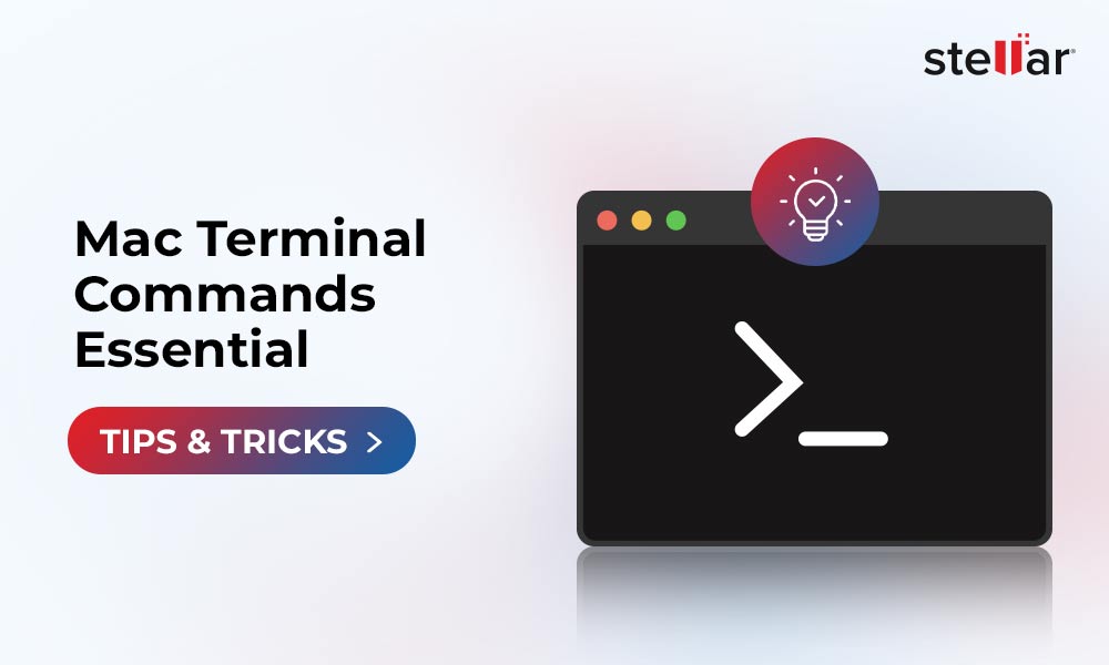 Mac Terminal Commands: Essential Tips and Tricks for Users