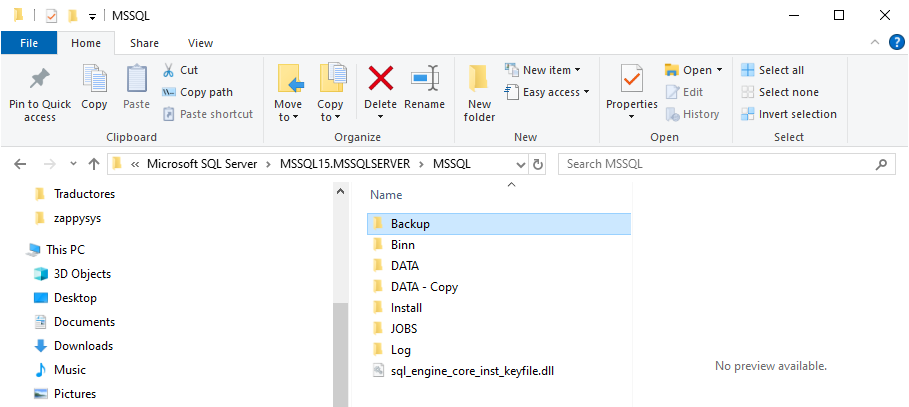 Path of Backup File
