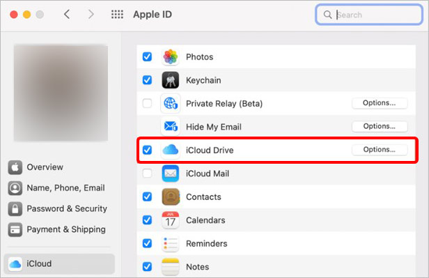 Sélectionnez iCloud Drive et activez-le