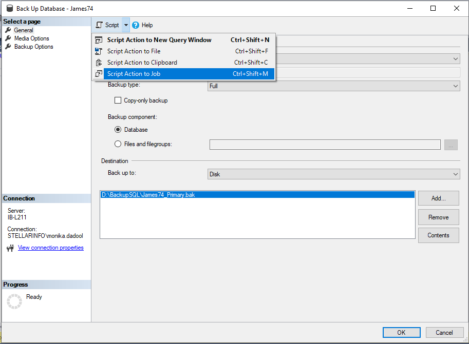 select Script Action to Job