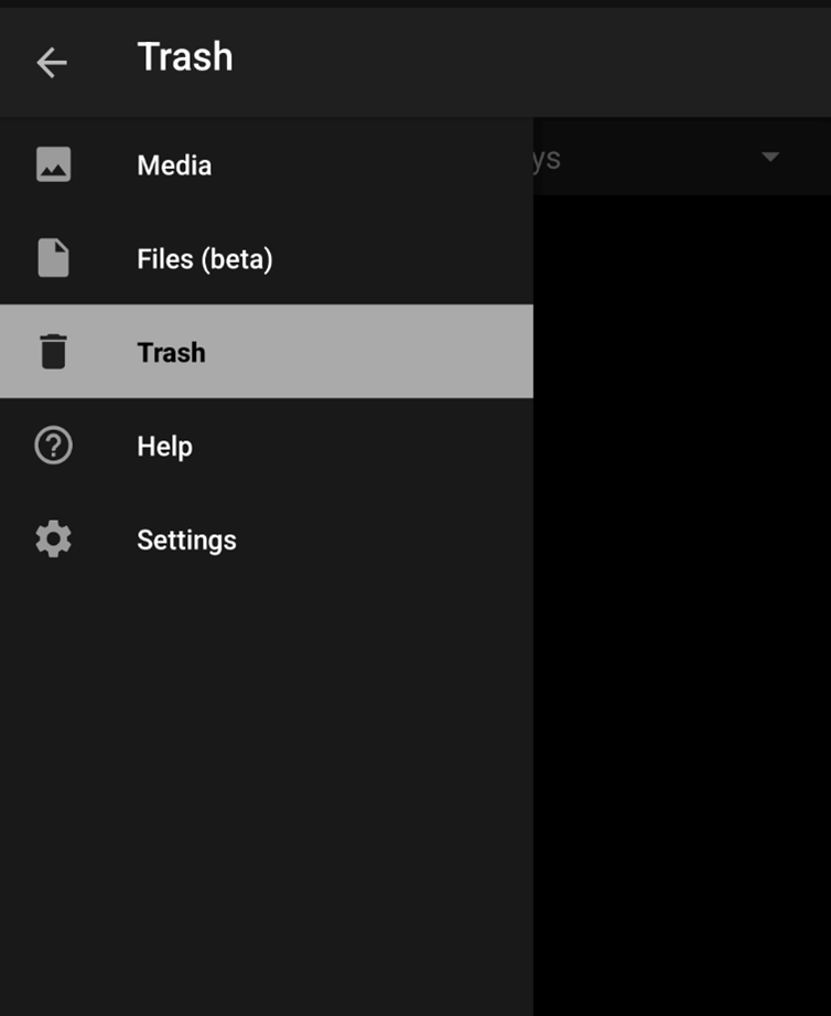 Restore Deleted Vault Files