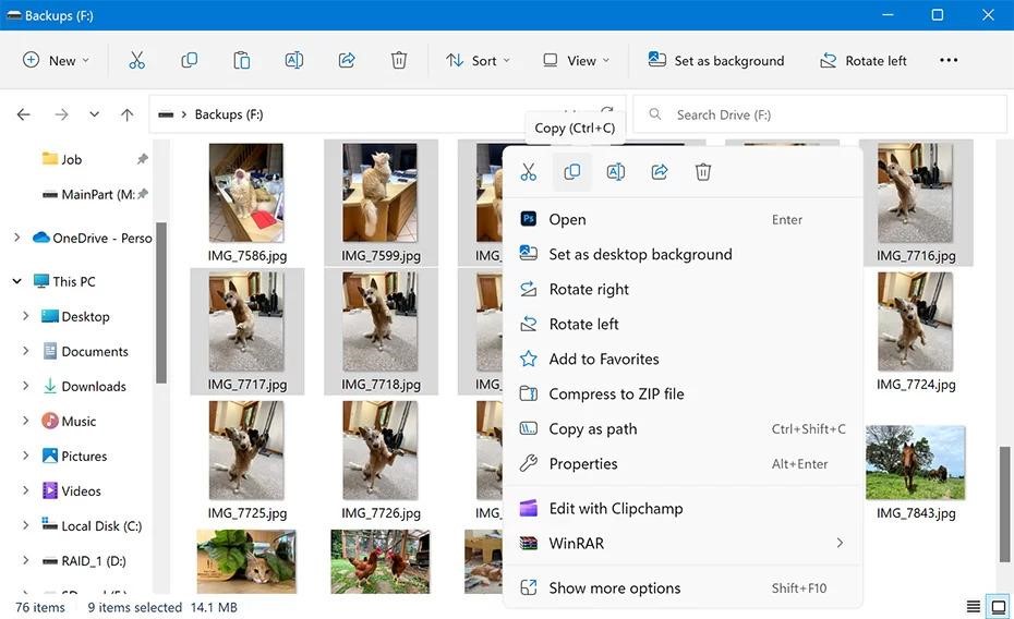 Copy and paste the files to your desired location