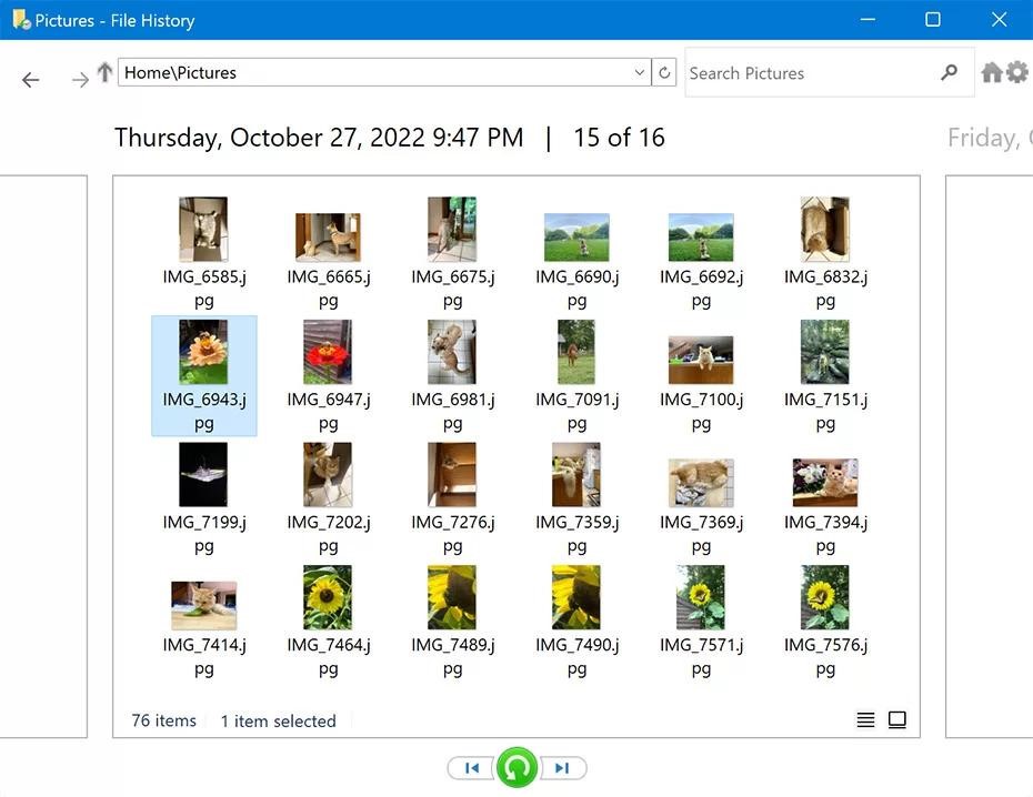 restore the selected files to their original location
