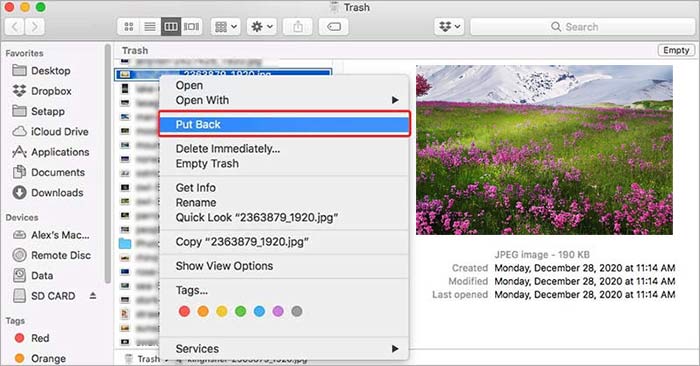 click put back from trash bin
