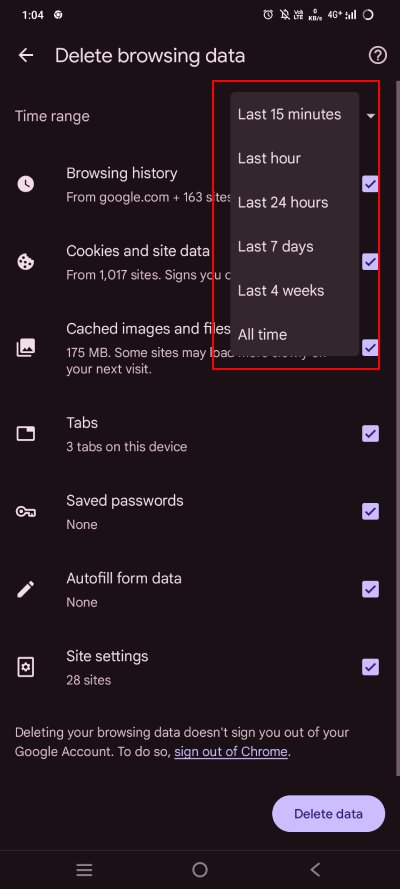 Delete Browsing Data