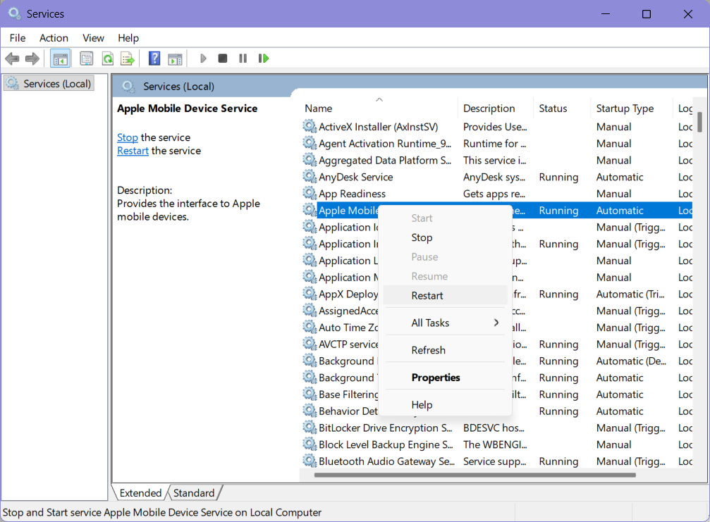 AMDS services in Windows