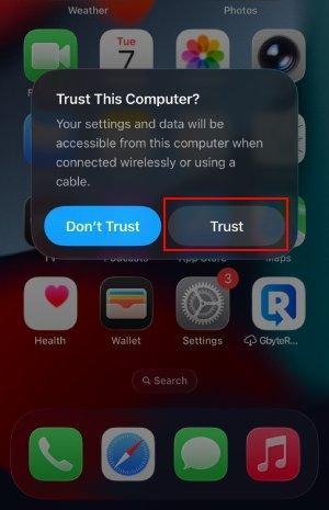 trust this computer
