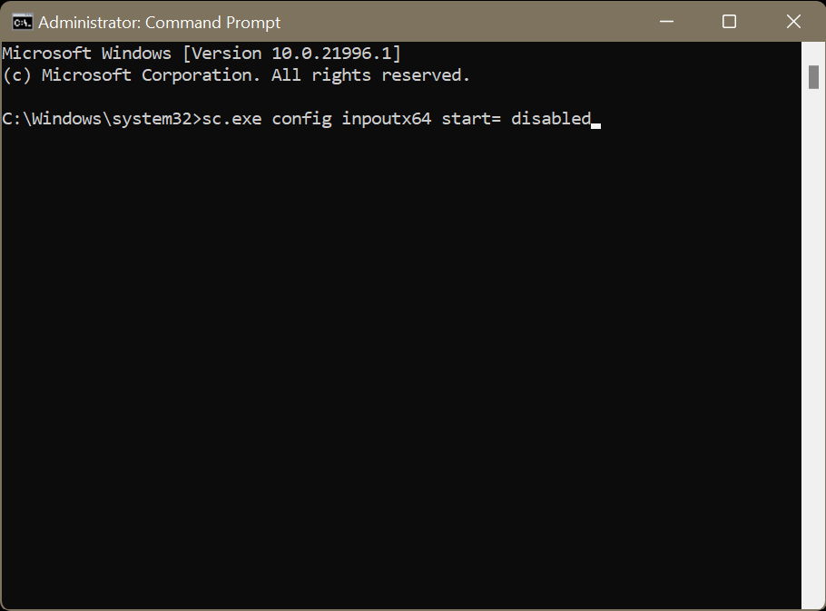 disable iinpoutx64 driver crashing Windows
