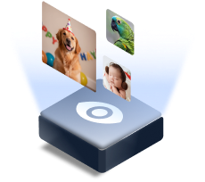 Free preview of recoverable files
