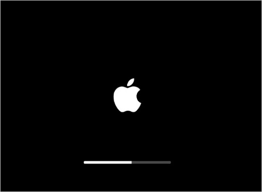macbook stuck on apple logo screen