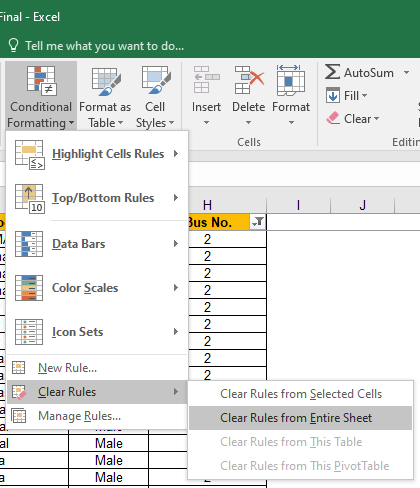 Conditional Formatting Rules