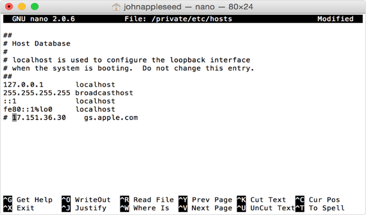 see the hosts file in Terminal window