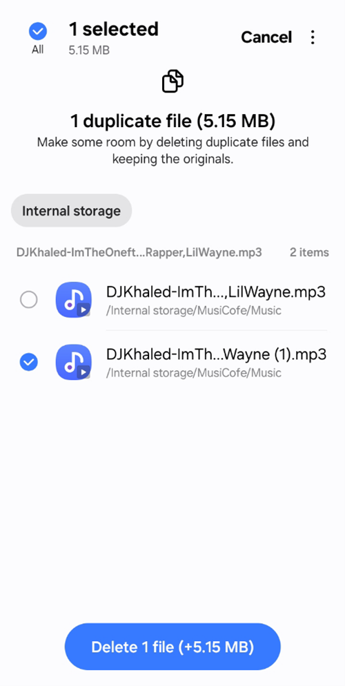 Remove duplicate or unnecessary files