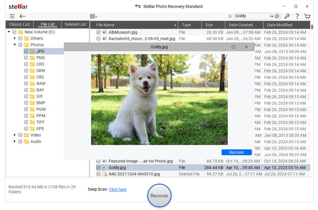 Select the photos you want to recover