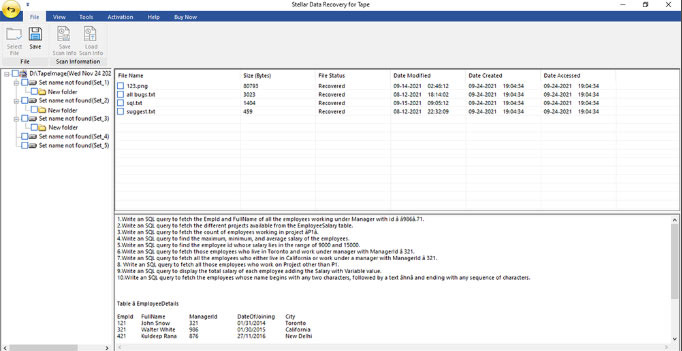 software will display all the recoverable files