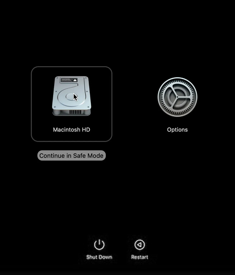  click Continue in Safe Mode