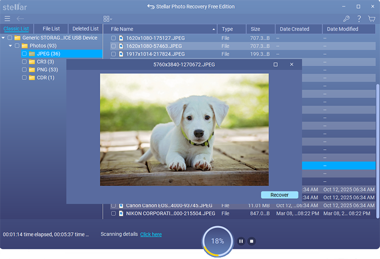 preview recovered files