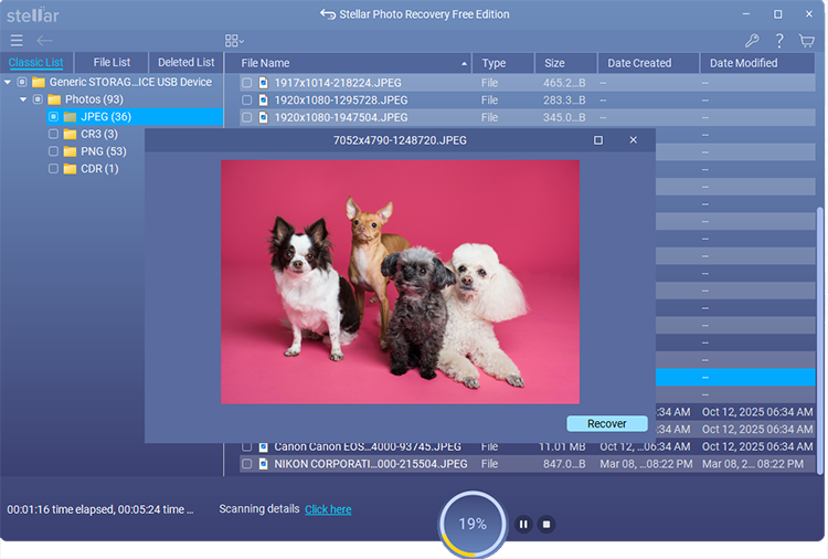 Preview the recovered files