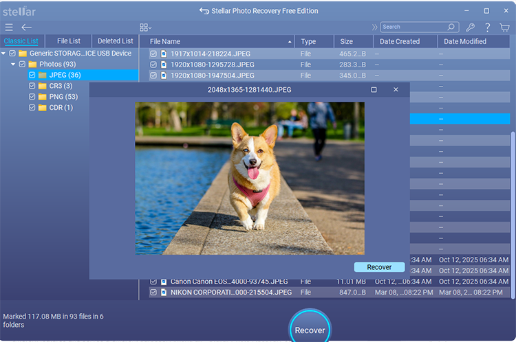 preview recovered images