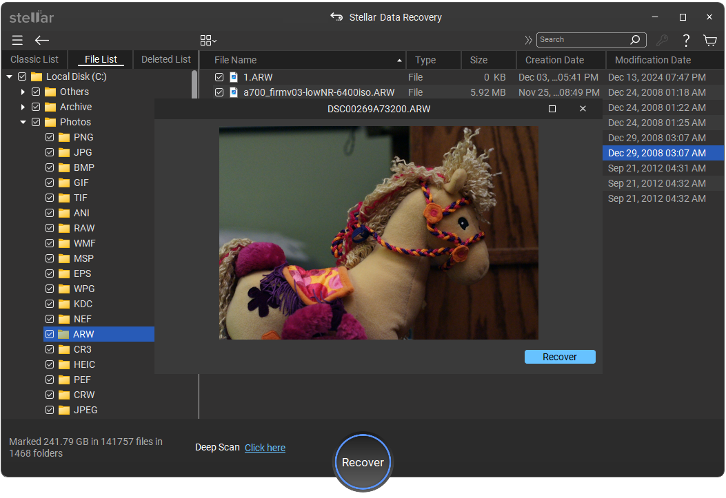 Preview Recovered files