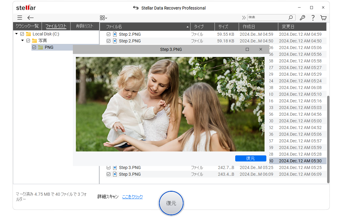 Stellar-Data-Recovery-Professional-Windows-Step3