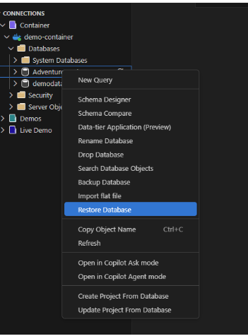 Restore Database in Visual studio