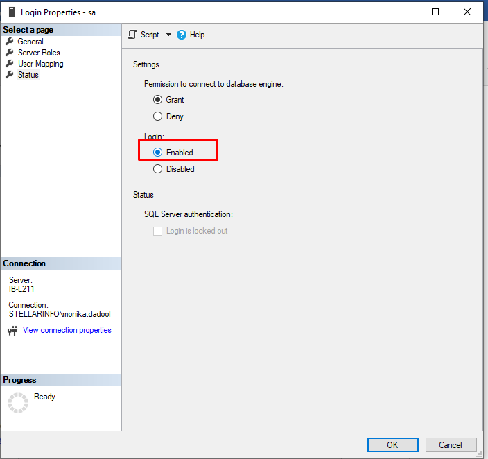 enabling SQL logins