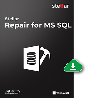 SQL Database Repair box